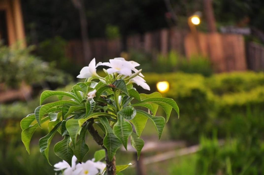 Pondok Guru Bakti Cottage Senaru Buitenkant foto